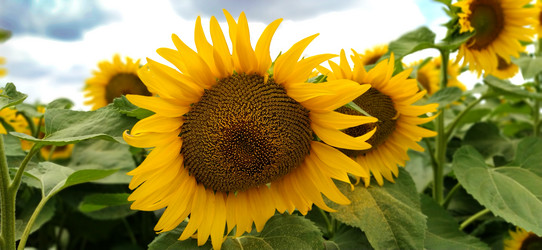 Similar image 21405693