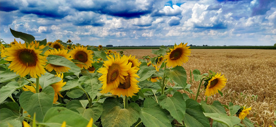 Similar image 21405695