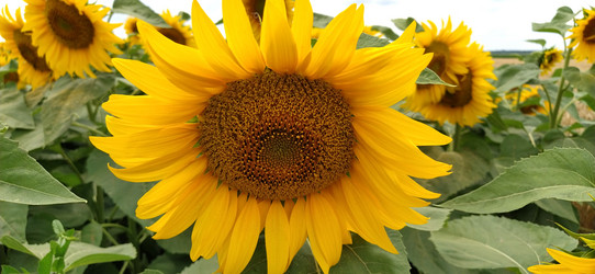 Similar image 21405697