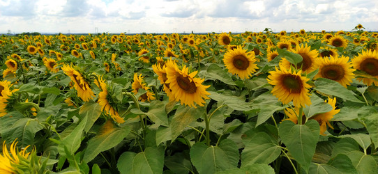 Similar image 21405789