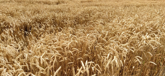 Similar image 21405791