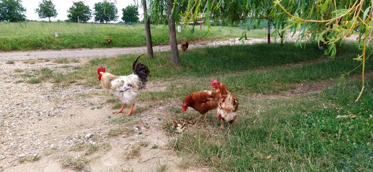 Similar image 21405875