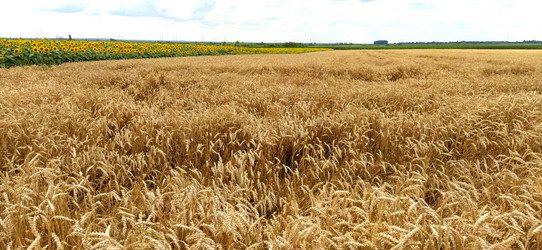 Similar image 21406076