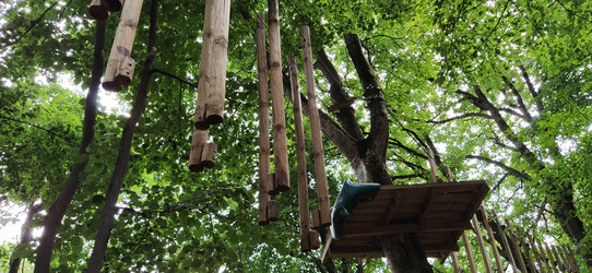 Similar image 21406077