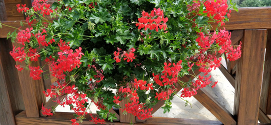 Similar image 21406079