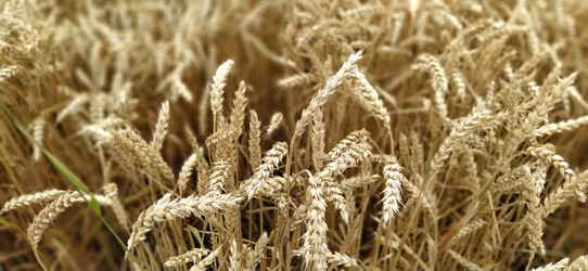 Similar image 21406080