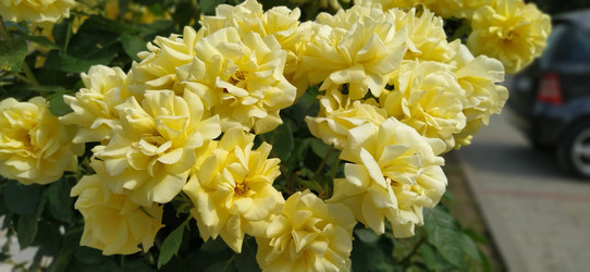 Similar image 21406258