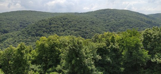 Similar image 21406261