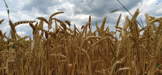 Similar image 21406262