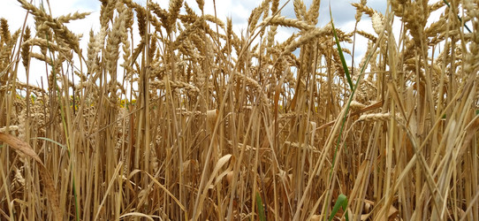 Similar image 21406272