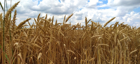 Similar image 21406275