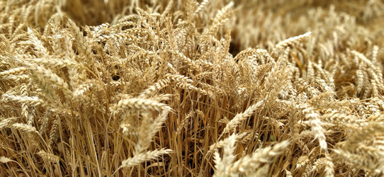 Similar image 21415500