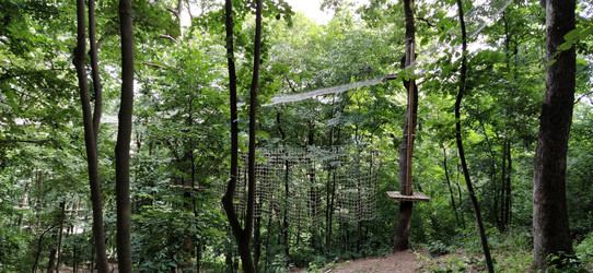 Similar image 21415508