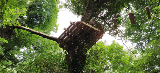 Similar image 21415509