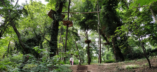 Similar image 21415510