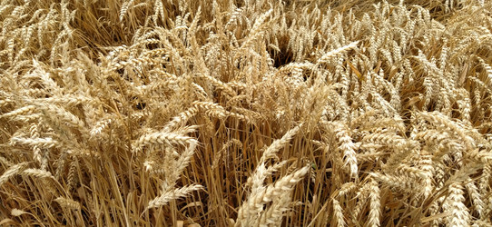 Similar image 21415511