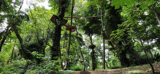 Similar image 21415512