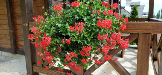 Similar image 21415517