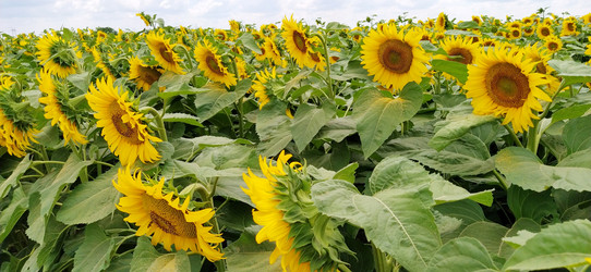 Similar image 21415521