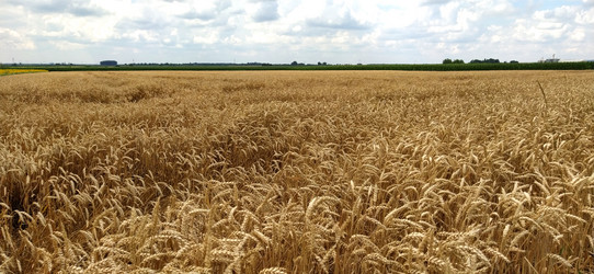 Similar image 21415523