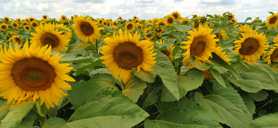 Similar image 21415526