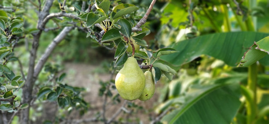 Similar image 21415908