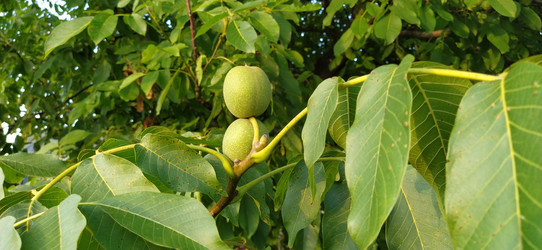 Similar image 21416373