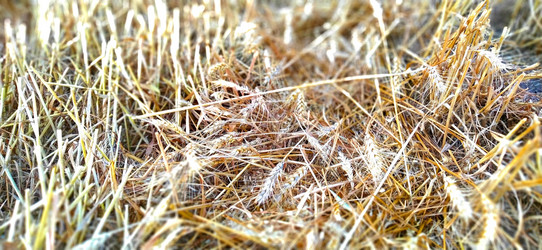 Similar image 21416440