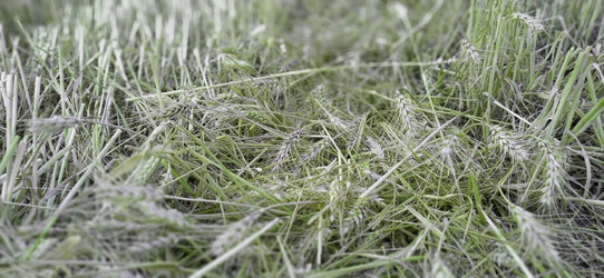 Similar image 21416765