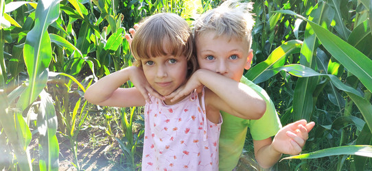 Similar image 21416774