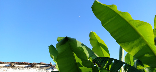 Similar image 21416779