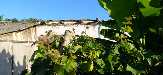 Similar image 21416780