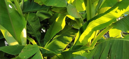 Similar image 21417202