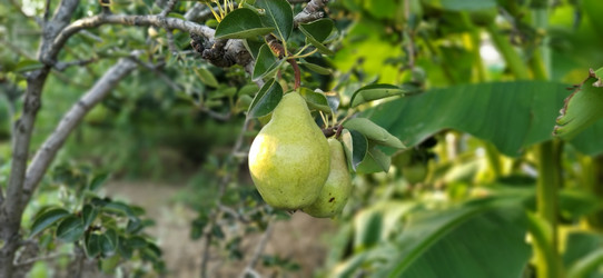 Similar image 21417205