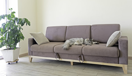 Similar image 21386314