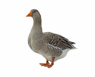 Similar image 21386315