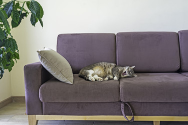 Similar image 21386316