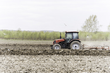 Similar image 21386319