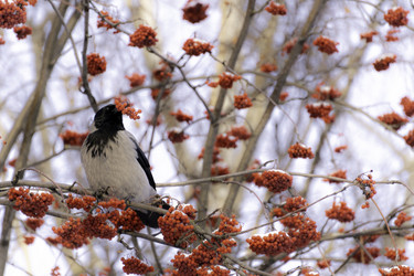 Similar image 21386322