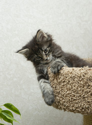 Similar image 21386323