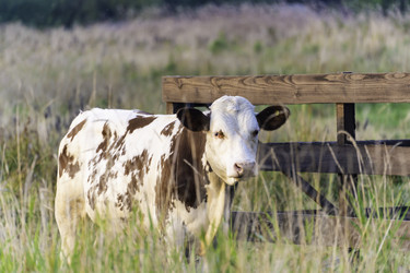 Similar image 21386325