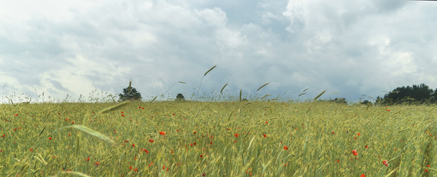 Similar image 21386332