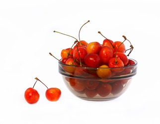 Similar image 21386341