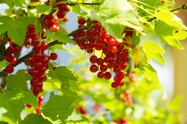 Similar image 21386347