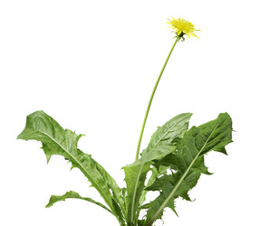 Similar image 21386349