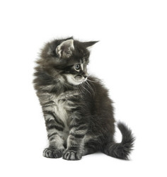 Similar image 21386354