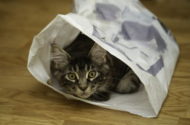 Similar image 21386357