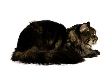 Similar image 21386367