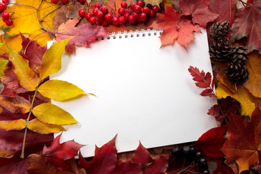 Similar image 21386374