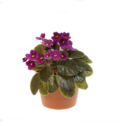 Similar image 21386376